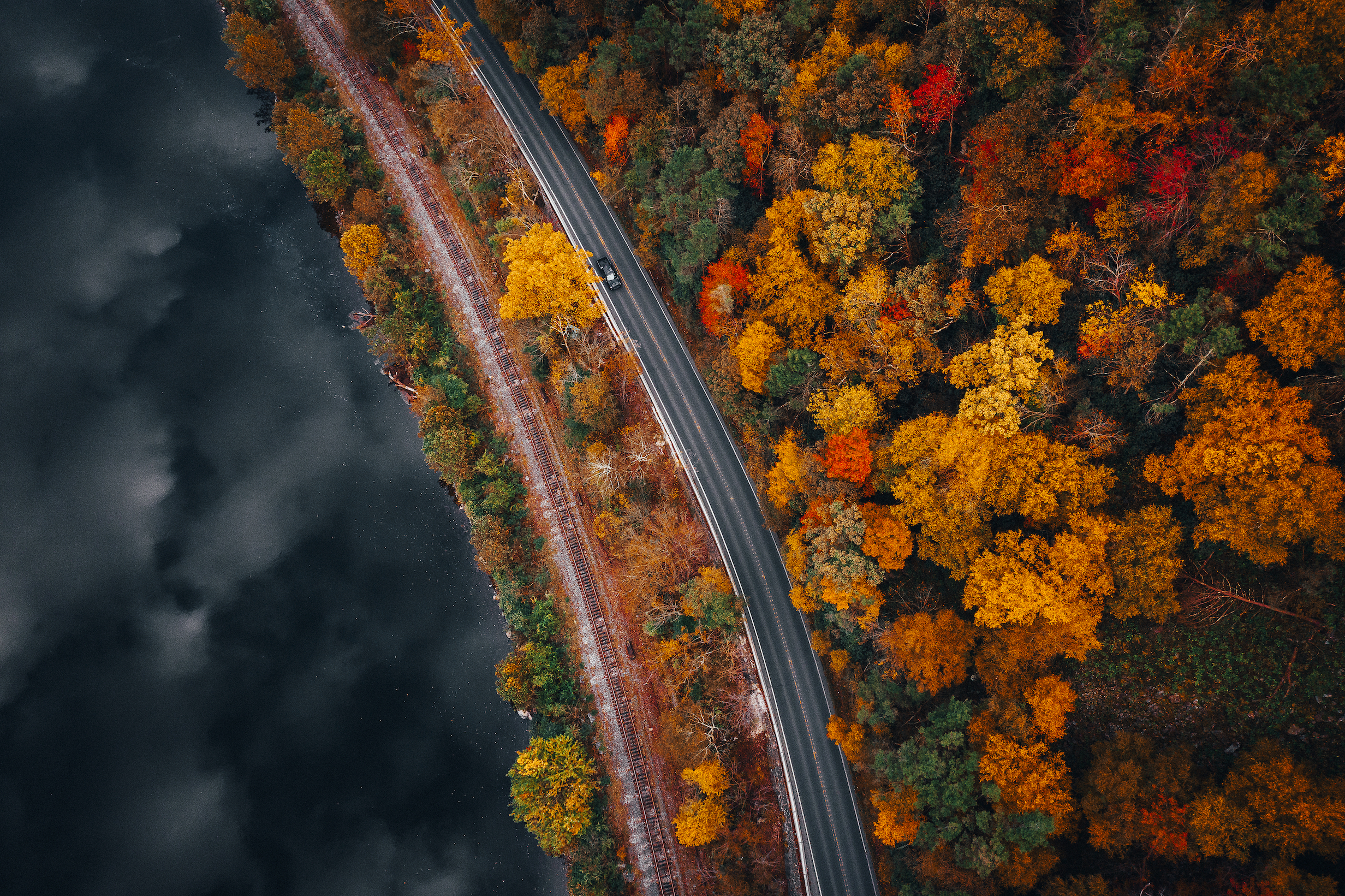 An overhead shot of a road running through a forest
